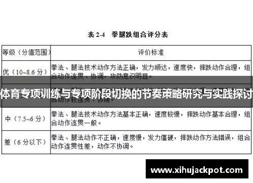 体育专项训练与专项阶段切换的节奏策略研究与实践探讨