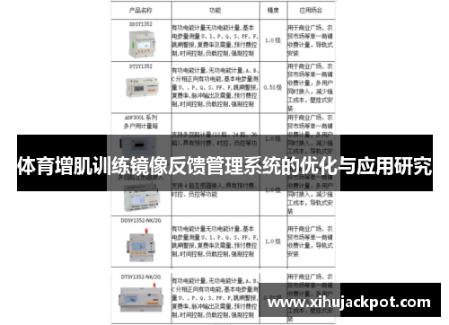 体育增肌训练镜像反馈管理系统的优化与应用研究