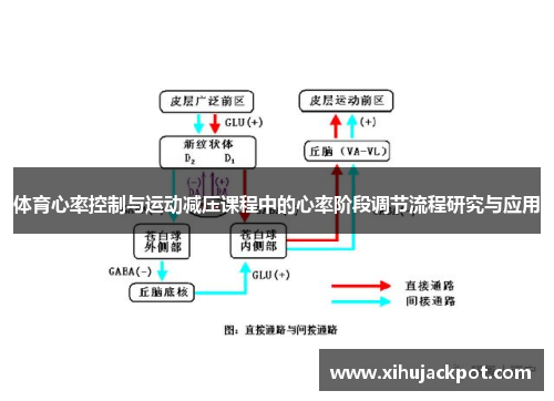 体育心率控制与运动减压课程中的心率阶段调节流程研究与应用